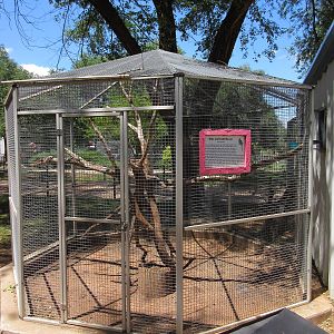 Blue-and-Gold Macaw Exhibit