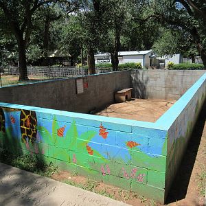 Patagonian Cavy Exhibit