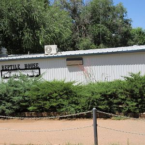 Reptile House