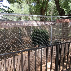 American Alligator Exhibit (juveniles)