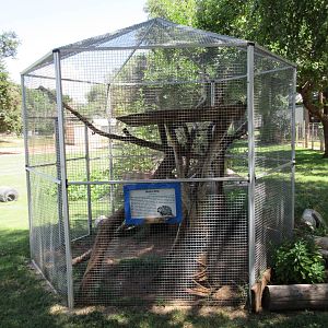 North American Porcupine Exhibit