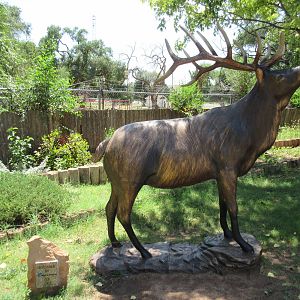 Elk Statue