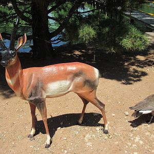 Pronghorn Statue + Canada Goose (real)