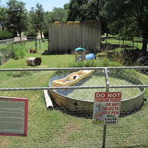 Asian Small-Clawed Otter Exhibit