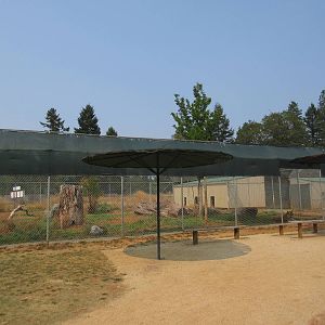 Bengal Tiger Exhibit