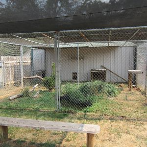 Clouded Leopard Exhibit