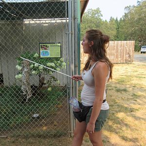 Geoffrey's Cat Exhibit