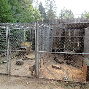 African Wildcat Exhibits