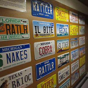 Snake-Themed License Plates