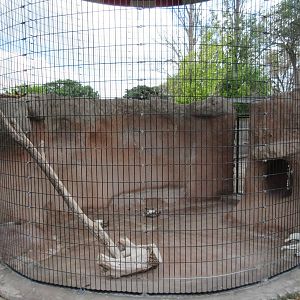 Red Fox Exhibit