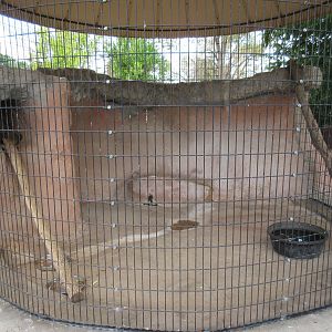 Raccoon Exhibit - awful!