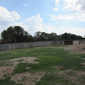 Sicilian Donkey Exhibit
