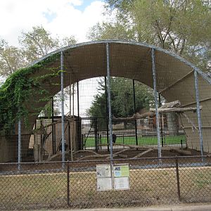 Bald Eagle Exhibit - oddly shaped