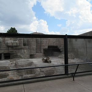 Empty Exhibit - thank goodness!