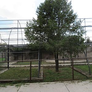 Empty Walk-Through Aviary
