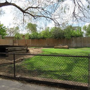Domestic Goat Exhibit