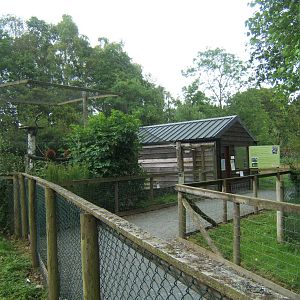 View of Red Ruffed Lemur enclosure