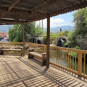 Black Swan Exhibit - viewing deck