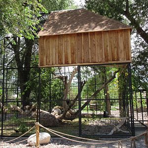 Bald Eagle Exhibit - side view