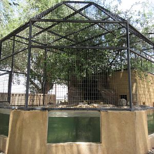 North American River Otter Exhibit - with underwater viewing