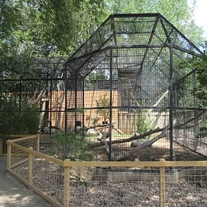 Red Fox Exhibit