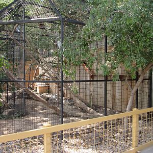 Coati Exhibit