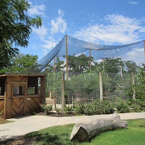 Walk-Through Aviary (New in 2012)