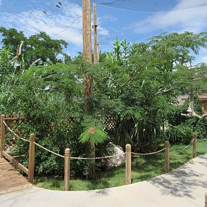 Walk-Through Aviary (New in 2012)