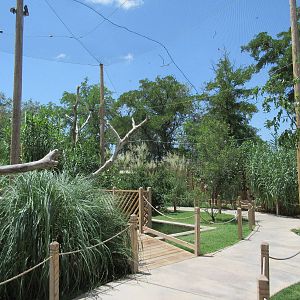 Walk-Through Aviary (New in 2012)