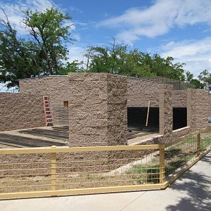 Future Black-Capped Capuchin Exhibits (and possibly Bobcat as well)