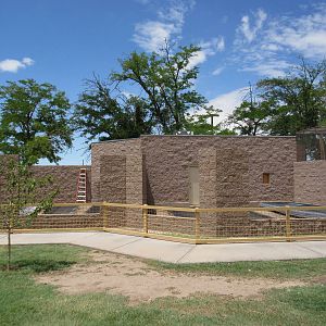 Future Black-Capped Capuchin Exhibits (and possibly Bobcat as well)