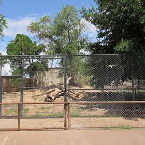 Coyote Exhibit