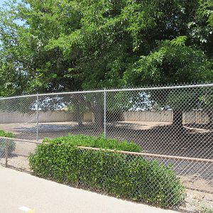 Red Kangaroo/Emu Exhibit