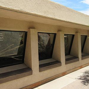 Two Terrariums (Green Tree Python + Green Iguana)