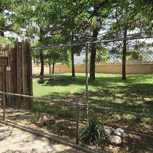 Mexican Grey Wolf Exhibit