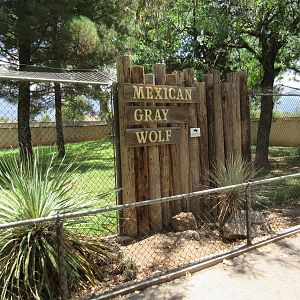 Mexican Grey Wolf Exhibit