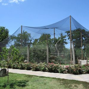 Walk-Through Aviary (New in 2012)