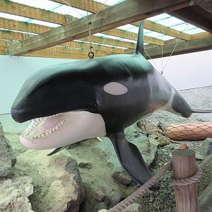 Killer Whale Statue
