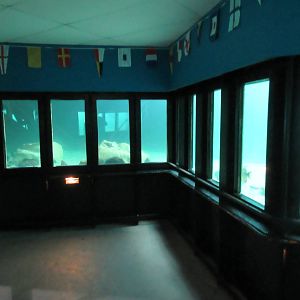 Undersea World (500,000 gallon tank divided into 4 exhibits)