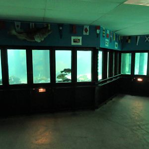 Undersea World (500,000 gallon tank divided into 4 exhibits)