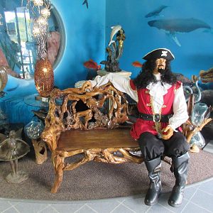 Pirate in Gift Shop