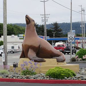 Gigantic Sea Lion - in aquarium parking lot