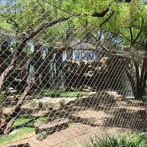Bengal Tiger Exhibit