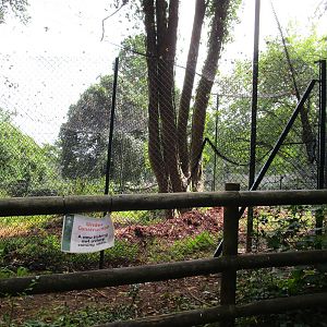 New Enclosure - 3/8/15