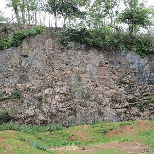 Barbary Sheep Enclosure - 3/8/15