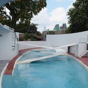 Old Penguin Pool