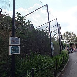Aviaries Outside the Blackburn Pavilion