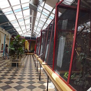 Aviaries in the Blackburn Pavilion