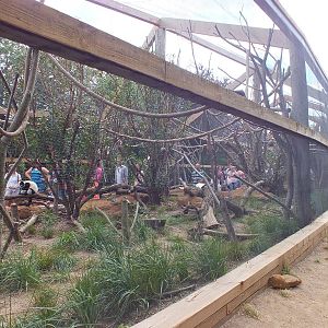 View of the Lemur Walkthrough from Outside