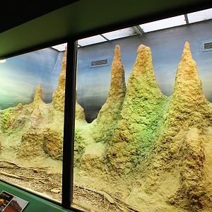 Enclosure for Gidgee Skink